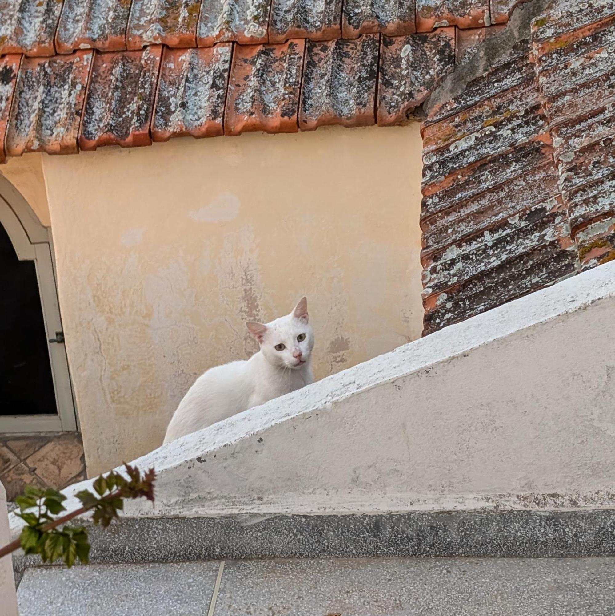 Dar Ettaki Workation Riad Cite Portugaise Mazagan El Jadida Buitenkant foto